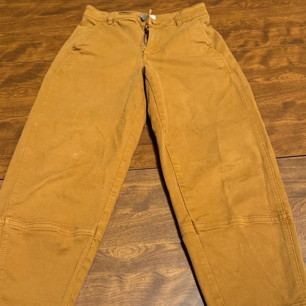 Everlane Utility Barrel Pant 2